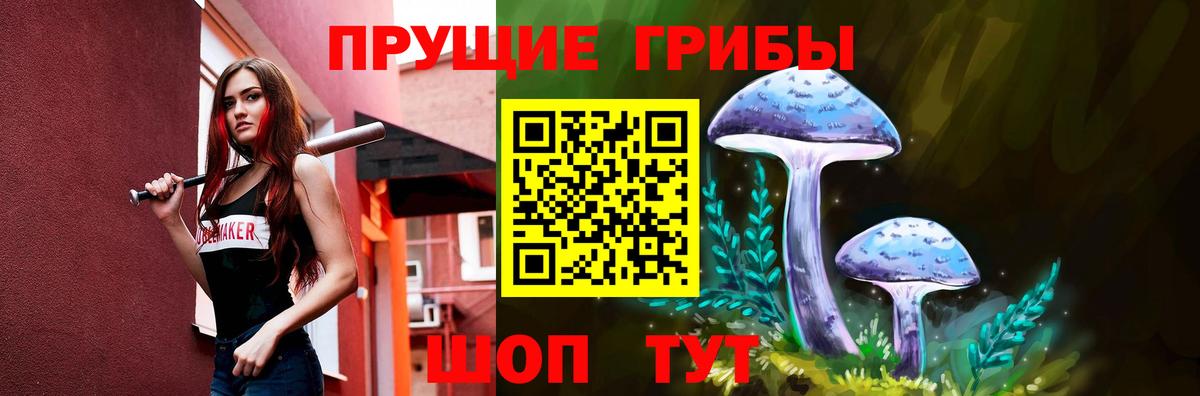 Елизово  Псилоцибиновые грибы Psilocybe  Псилоцибиновые грибы GOLDEN TEACHER  Вход с VPN 